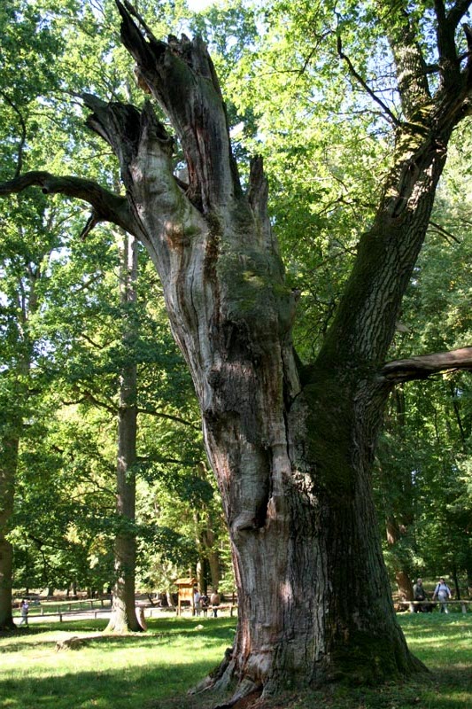 Killikus&reg; Fotographie